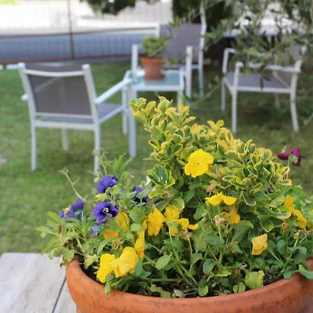 Bed & Breakfast Alle Terme *