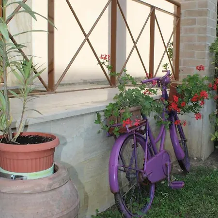 Alle Terme Bed & Breakfast *